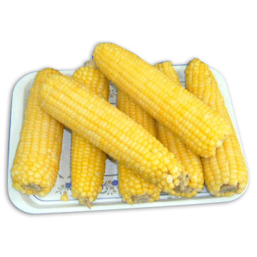  Frozen Glutinous Maize (Frozen gluant Maïs)