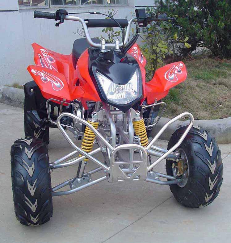  110cc ATV ( 110cc ATV)