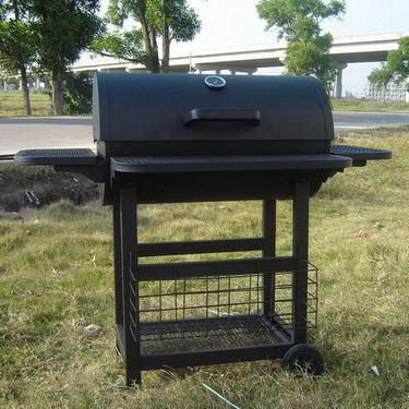  Barbecue BBQ or Grill (Barbecue barbecue ou au grill)