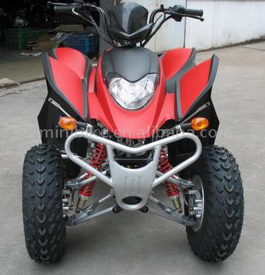  300cc ATV ( 300cc ATV)