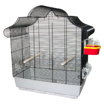  Bird Cage ( Bird Cage)