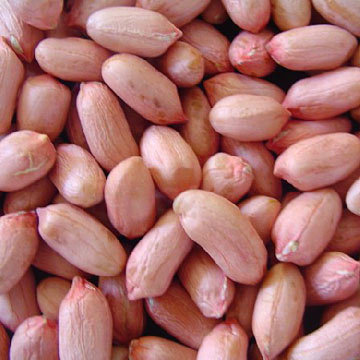  Peanut (Арахис)
