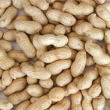  Peanut in Shell (Арахис в Shell)