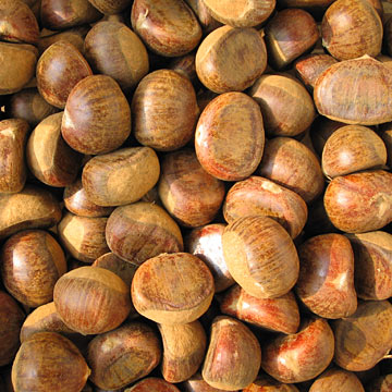  Chestnuts (Каштаны)