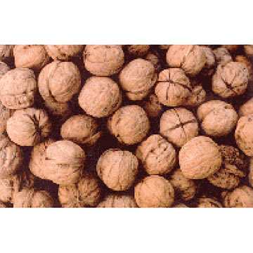  Walnuts (Грецкие орехи)