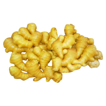  Ginger ( Ginger)