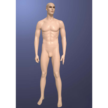  Male Mannequin (Мужской манекен)