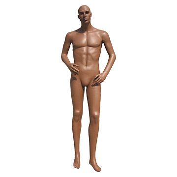 Männlich Mannequin (Männlich Mannequin)