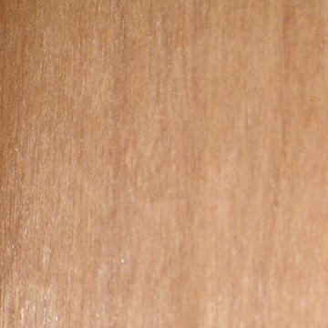  CEP (Pencil Cedar) (CEP (Pencil Cedar))