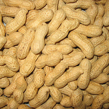 Peanuts Inshell (Арахис в скорлупе)