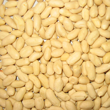  21/25 Blanched Peanut Kernels ( 21/25 Blanched Peanut Kernels)