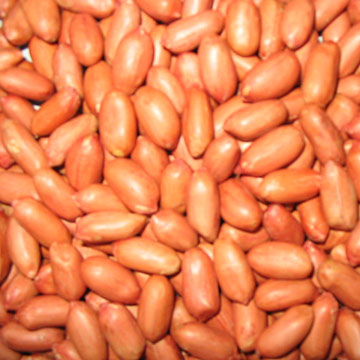  Roasted Peanuts with Red Skin (Жареного арахиса с красной кожи)