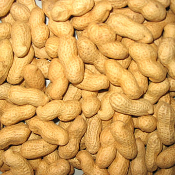  Roasted Peanuts Inshell (Жареного арахиса в скорлупе)