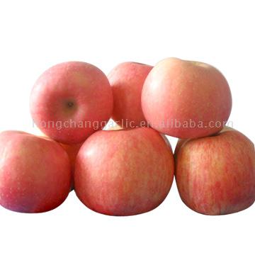  Fuji Apples (Pommes Fuji)