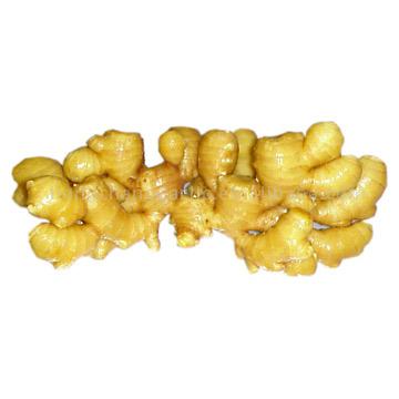  Fresh Ginger (Gingembre frais)