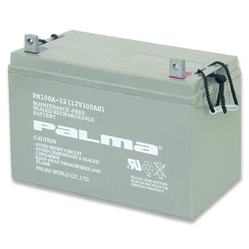  SLA Battery (SLA Batterie)