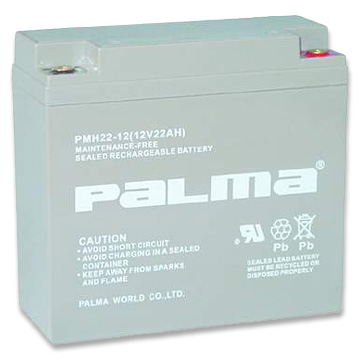  SLA Battery (ОАС Аккумулятор)