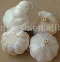  Garlic (Knoblauch)