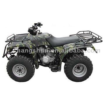  All Terrain Vehicle ( All Terrain Vehicle)