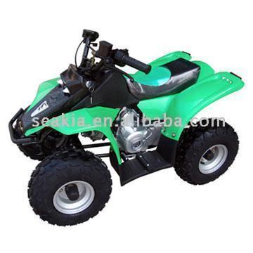  50cc Raptor Style ATV with EPA ( 50cc Raptor Style ATV with EPA)
