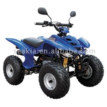  110cc Raptor Style ATV with EEC ( 110cc Raptor Style ATV with EEC)
