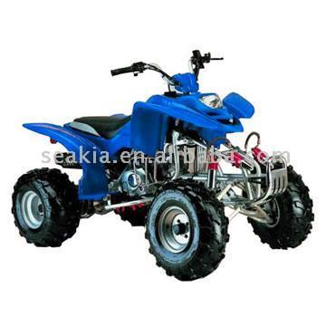 200cc Water-Cooled ATV with EEC ( 200cc Water-Cooled ATV with EEC)