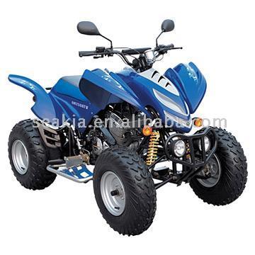  250cc Raptor Style ATV With EEC ( 250cc Raptor Style ATV With EEC)