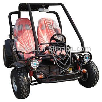  150cc/250cc Water-Cooled Go Kart ( 150cc/250cc Water-Cooled Go Kart)