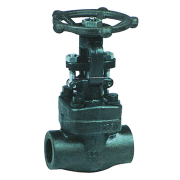  Forged Steel Gate Valve