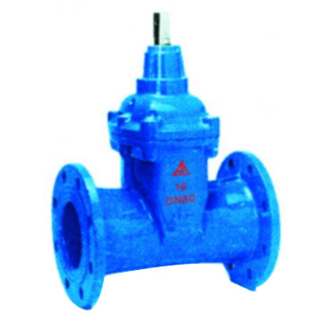 Flanged Gate Valve (Resilient Seated)
