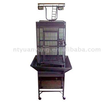  Bird Cage (Bird Cage)