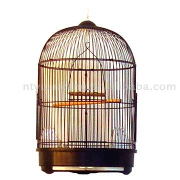  Bird Cage (Bird Cage)