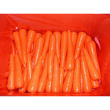  Fresh Carrots (Carottes fraîches)