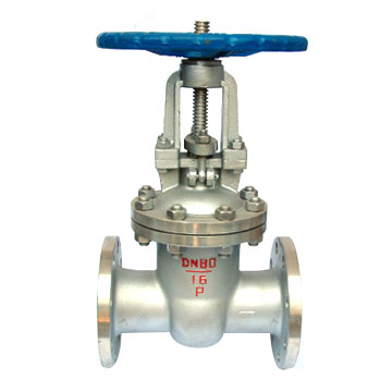  Manual Gate Valve