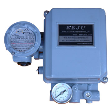  Electric Valve Positioner