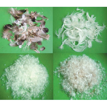  Down / Feather Raw Material (Down / Feather Raw Material)