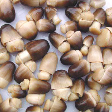  Straw Mushroom (Champignons de paille)