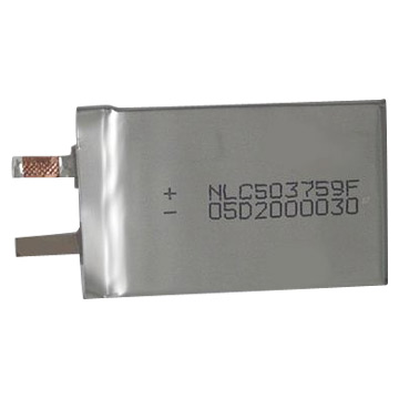  PDA & PMP Battery Cell