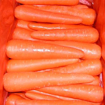  Fresh Carrots (Carottes fraîches)