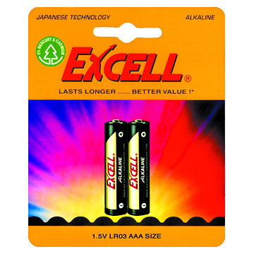  Alkaline Battery (Piles alcalines)