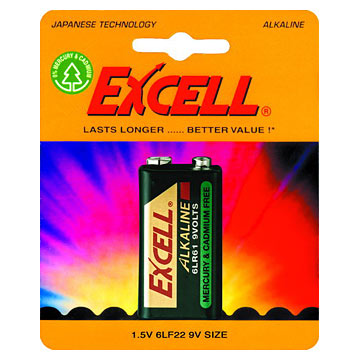  Alkaline Battery ( Alkaline Battery)