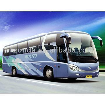  Touring Bus (Touring Bus)