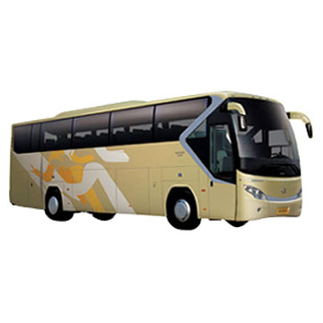  Company / School Bus ( Company / School Bus)