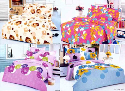  4pc Printed Bedding Set (4pc Imprimé Taies)