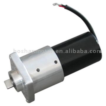  DC PM Gearmotor ( DC PM Gearmotor)