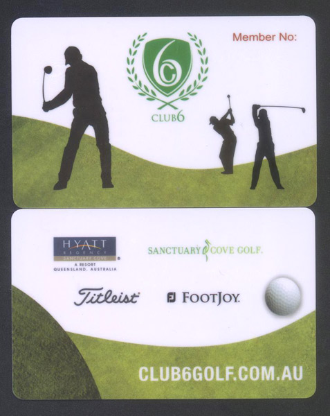  Printed PVC Card ( Printed PVC Card)