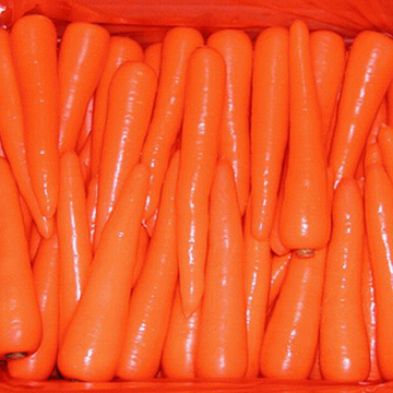  Big Fresh Carrots (Большая свежей моркови)