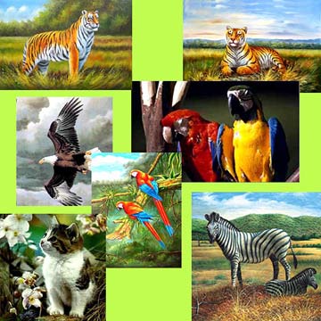  Animal Paintings