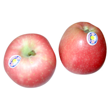  Red Star Apples (Красная звезда яблоки)