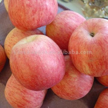  Red Honey Apples (Red Miel Pommes)